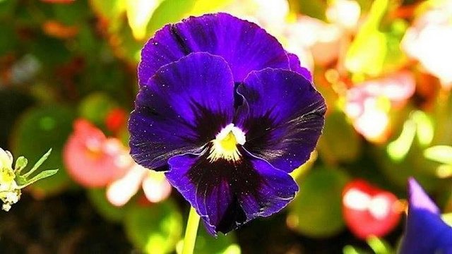 Csodálatos természet 02